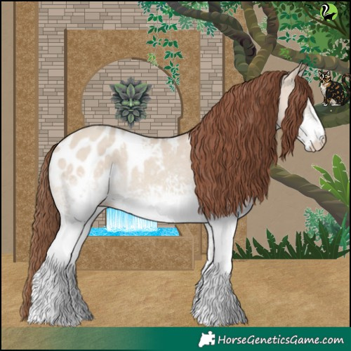 Horse Color:White Spotted Classic Champagne Dun Appaloosa 