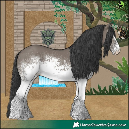 Horse Color:White Spotted Grullo