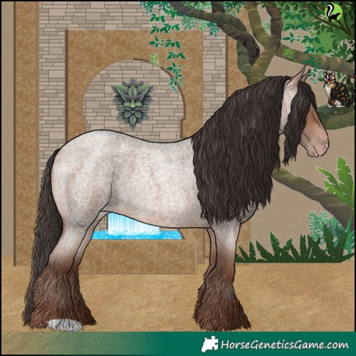 Horse Color:Sable Champagne Roan 