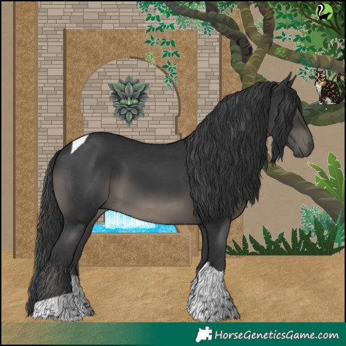 Horse Color:Black Tobiano Rabicano