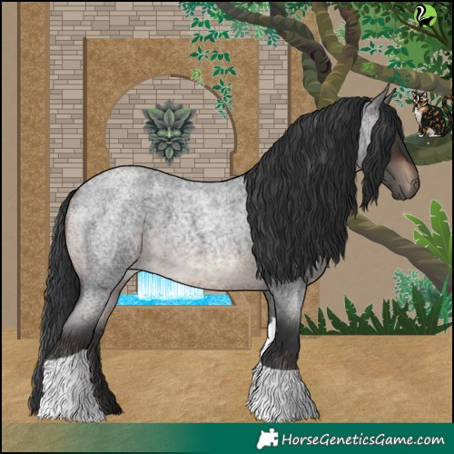 Horse Color:Brown Roan Tobiano Rabicano 