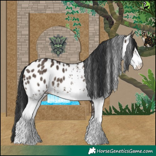 Horse Color:White Spotted Brown Dun Near Leopard 