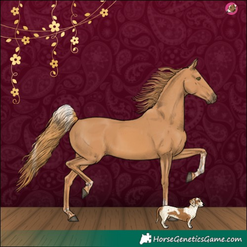 Horse Color:Chestnut Tobiano 
