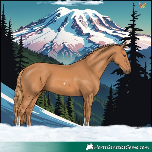 Horse Color:Chestnut Tobiano 