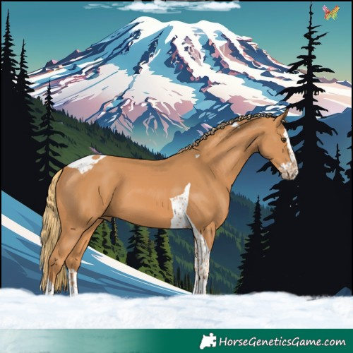 Horse Color:Chestnut Splash Tobiano