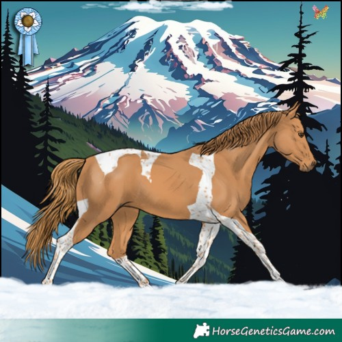 Horse Color:Chestnut Tobiano