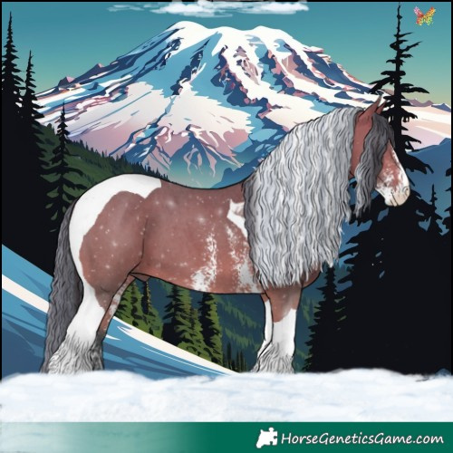 Horse Color:Painted Bay Sabino Tobiano