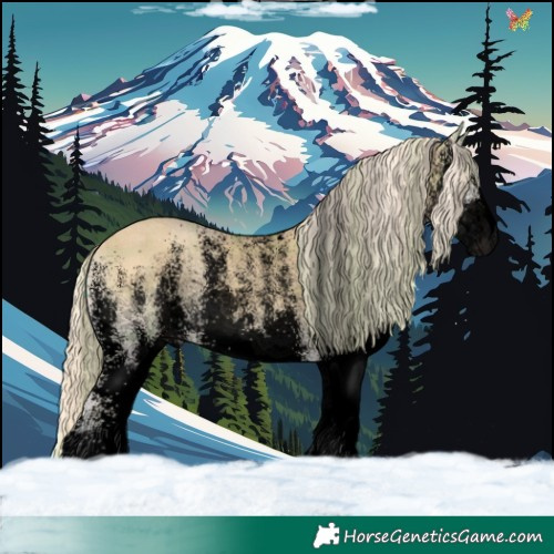 Horse Color:Void Plaid White Spotted Gold Cream Champagne Onyx