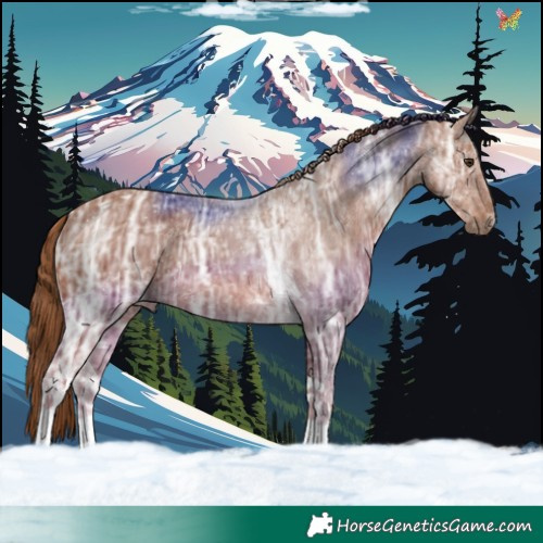 Horse Color:Chestnut Ice Tobiano 