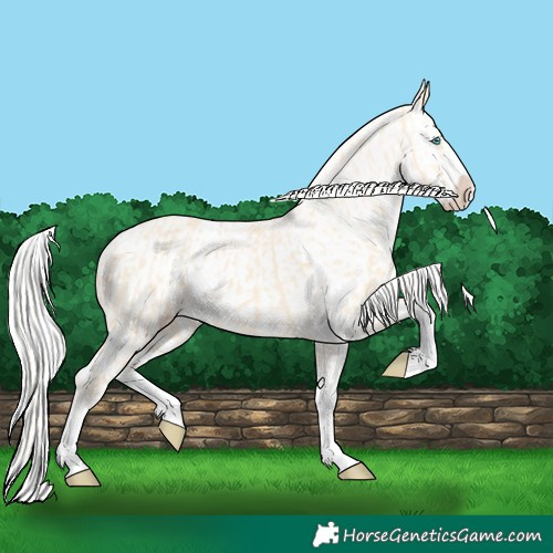 Horse Color:Cremello Splash  and Cremello Splash 