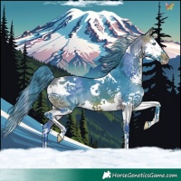 Horse Color:Watercolor Bay Splash Tobiano