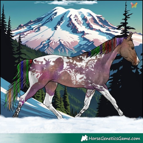 Horse Color:Painted Brown Dun Tobiano 