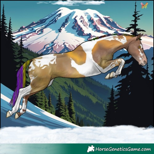 Horse Color:Painted Sable Champagne Tobiano 