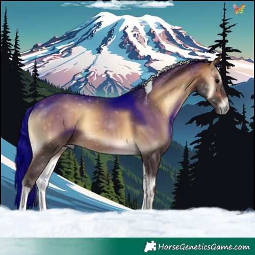 Horse Color:Buckskin Onyx Tobiano 