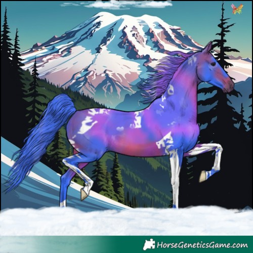 Horse Color:Watercolor Bay Tobiano