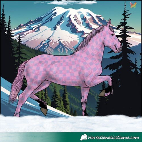 Horse Color:Void Watercolor Plaid Black