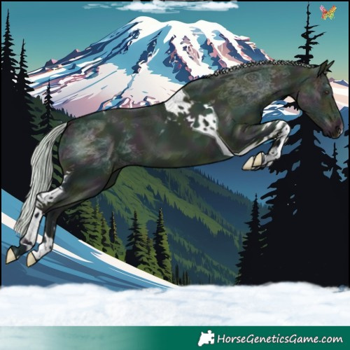 Horse Color:Watercolor Midnight Silver Brown Dun Tobiano 