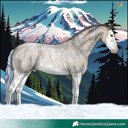 Horse Color:Painted Plaid  Silver Bay Ice Roan Splash 
