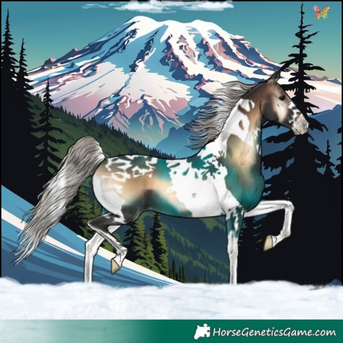 Horse Color:Silver Brown Onyx Tobiano