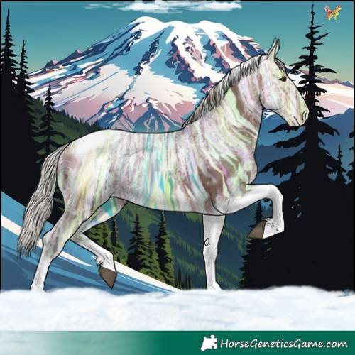 Horse Color:Silver Bay Ice Tobiano 