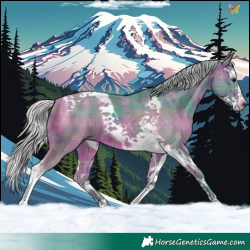 Horse Color:Watercolor Plaid Silver Brown Splash Tobiano