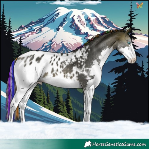 Horse Color:Painted Brown Splash Blanket