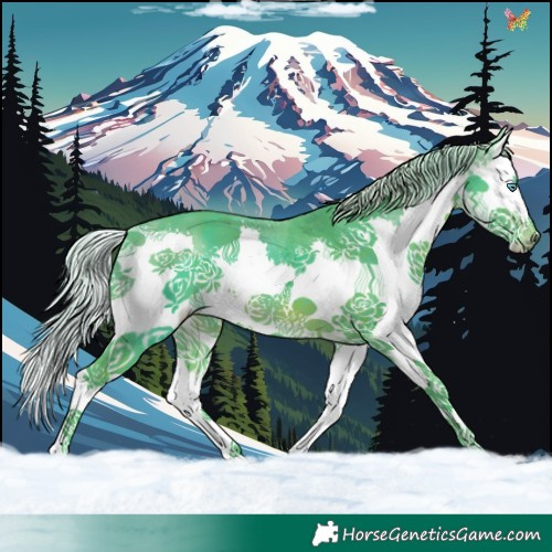 Horse Color:Watercolor Silver Brown Splash