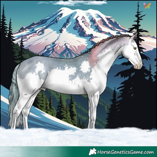 Horse Color:Watercolor Sable Champagne Splash