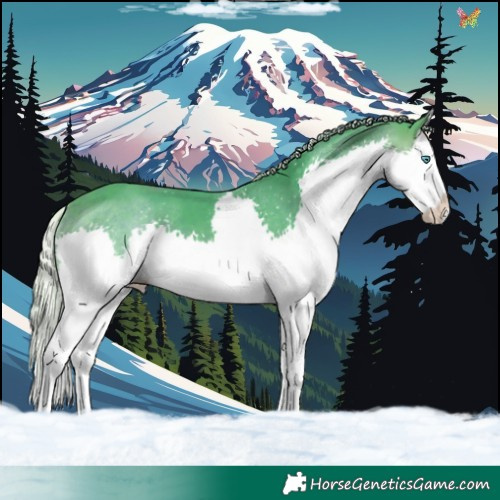 Horse Color:Watercolor Silver Brown Splash