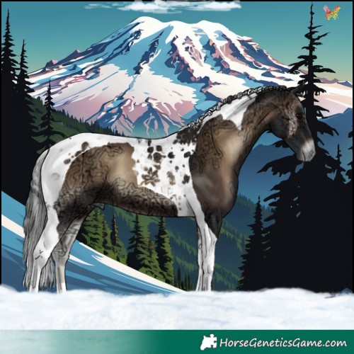 Horse Color:Brown Ice Onyx Tobiano