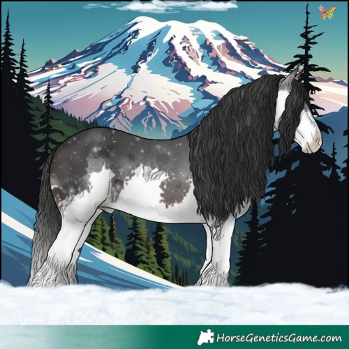 Horse Color:Brown Splash