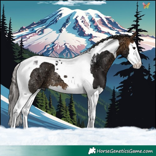 Horse Color:Buckskin Ice Splash Tobiano