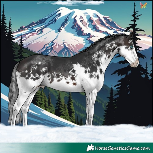 Horse Color:Brown Splash