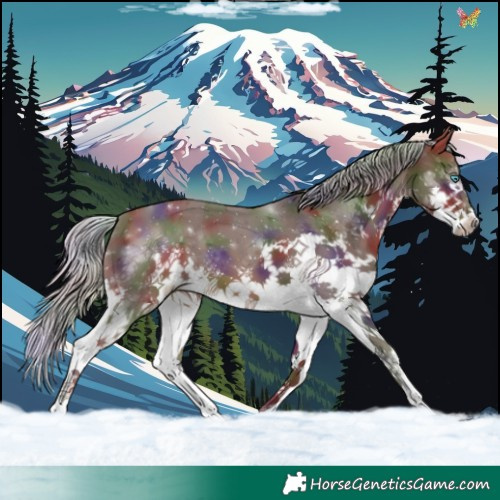 Horse Color:Nacre Silver Brown Splash 