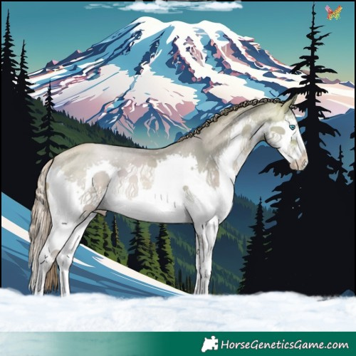 Horse Color:Watercolor Buckskin Pearl Splash 