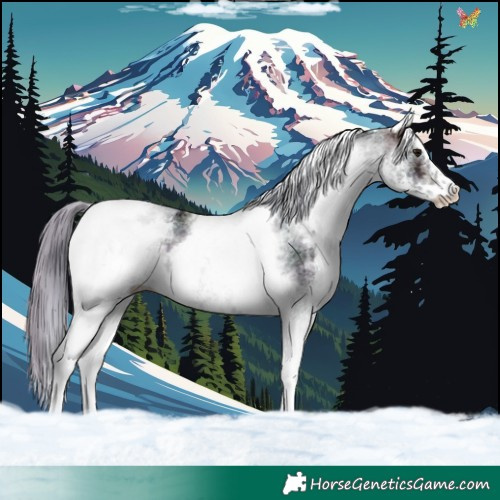 Horse Color:Watercolor White Spotted Midnight Buckskin Ice Tobiano 