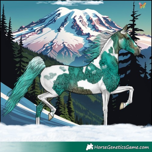 Horse Color:Watercolor Buckskin Ice Tobiano