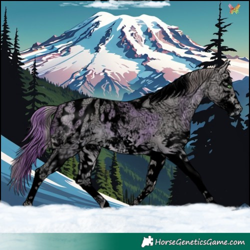 Horse Color:Void Platinum White Spotted Sable Cream Champagne Ice Tobiano Blanket