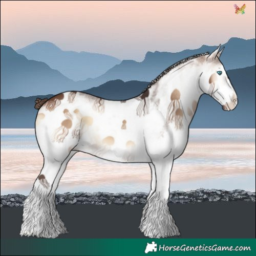 Horse Color:White Spotted Brown Onyx Splash Varnish 