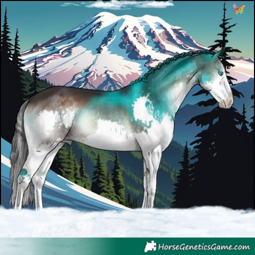 Horse Color:Brown Onyx Splash