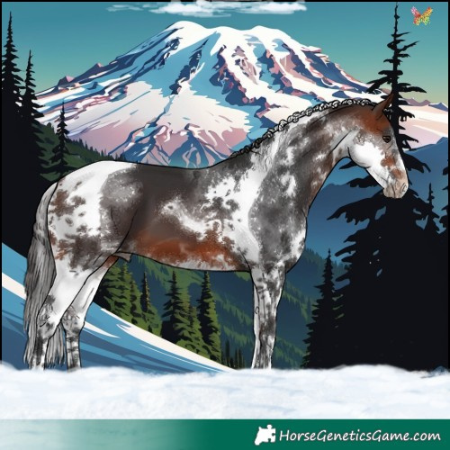 Horse Color:Brown Splash Tobiano