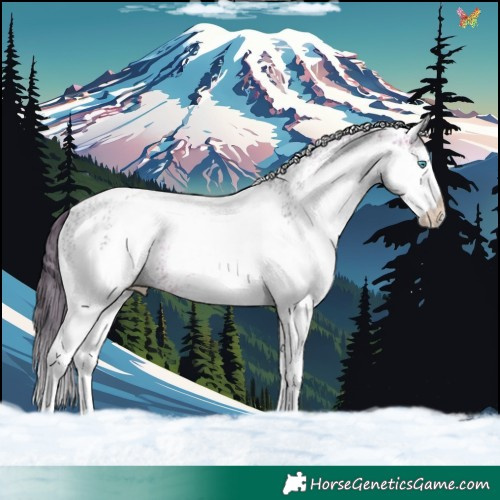 Horse Color:White Spotted Brown Splash Varnish 