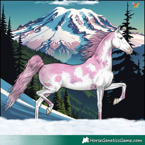 Horse Color:Watercolor Brown Splash
