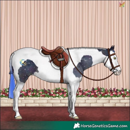Horse Color:Watercolor Midnight Sable Champagne Splash Tobiano 