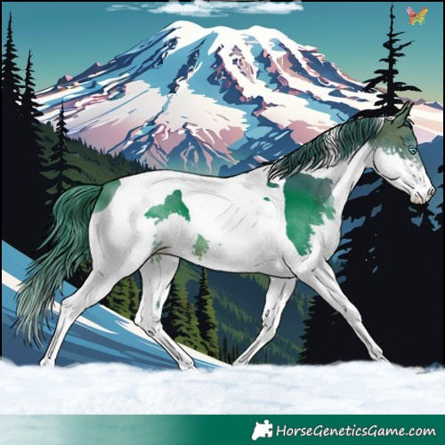 Horse Color:Watercolor Brown Splash Tobiano 