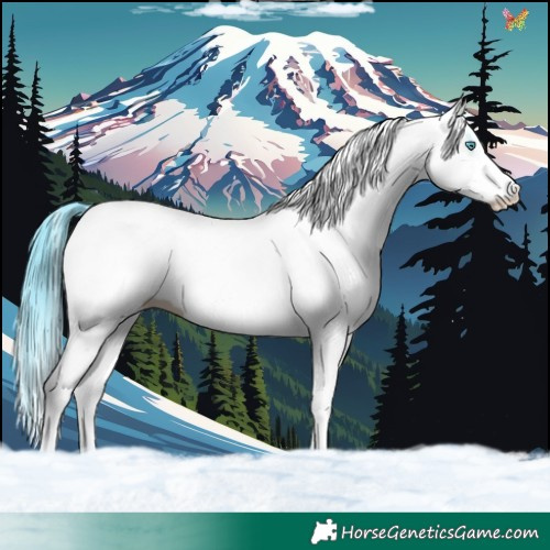 Horse Color:Watercolor White Spotted Brown Splash