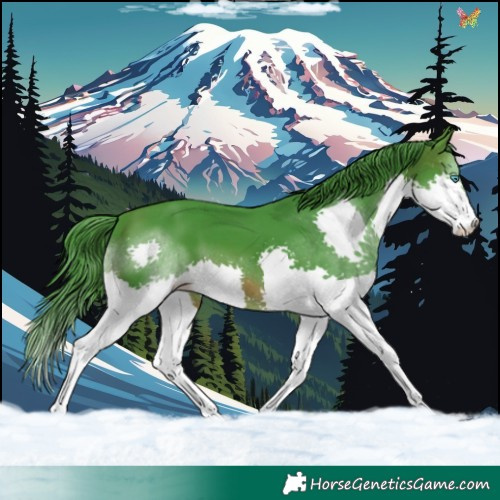 Horse Color:Watercolor Brown Splash