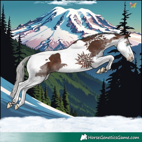 Horse Color:Silver Brown Splash Tobiano