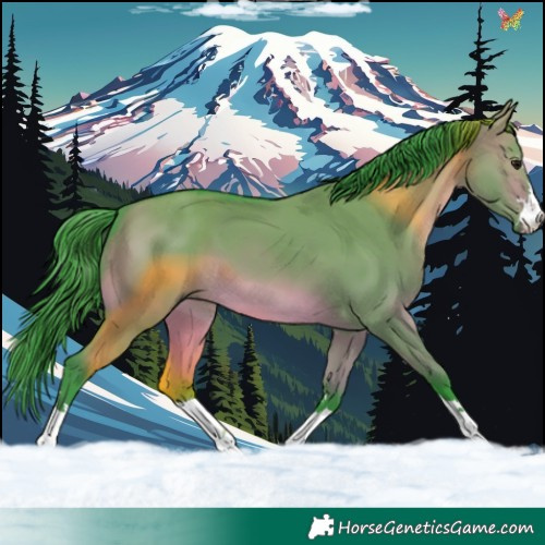 Horse Color:Watercolor Brown Dun