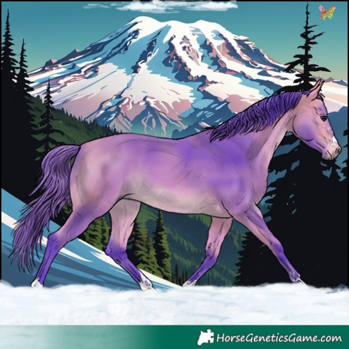 Horse Color:Watercolor Buckskin